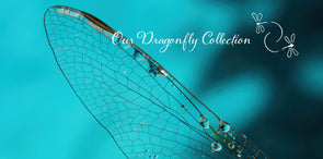 Dragonfly Collection