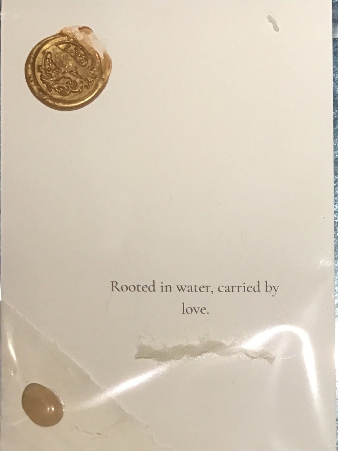 CoziNests Pebble Notes