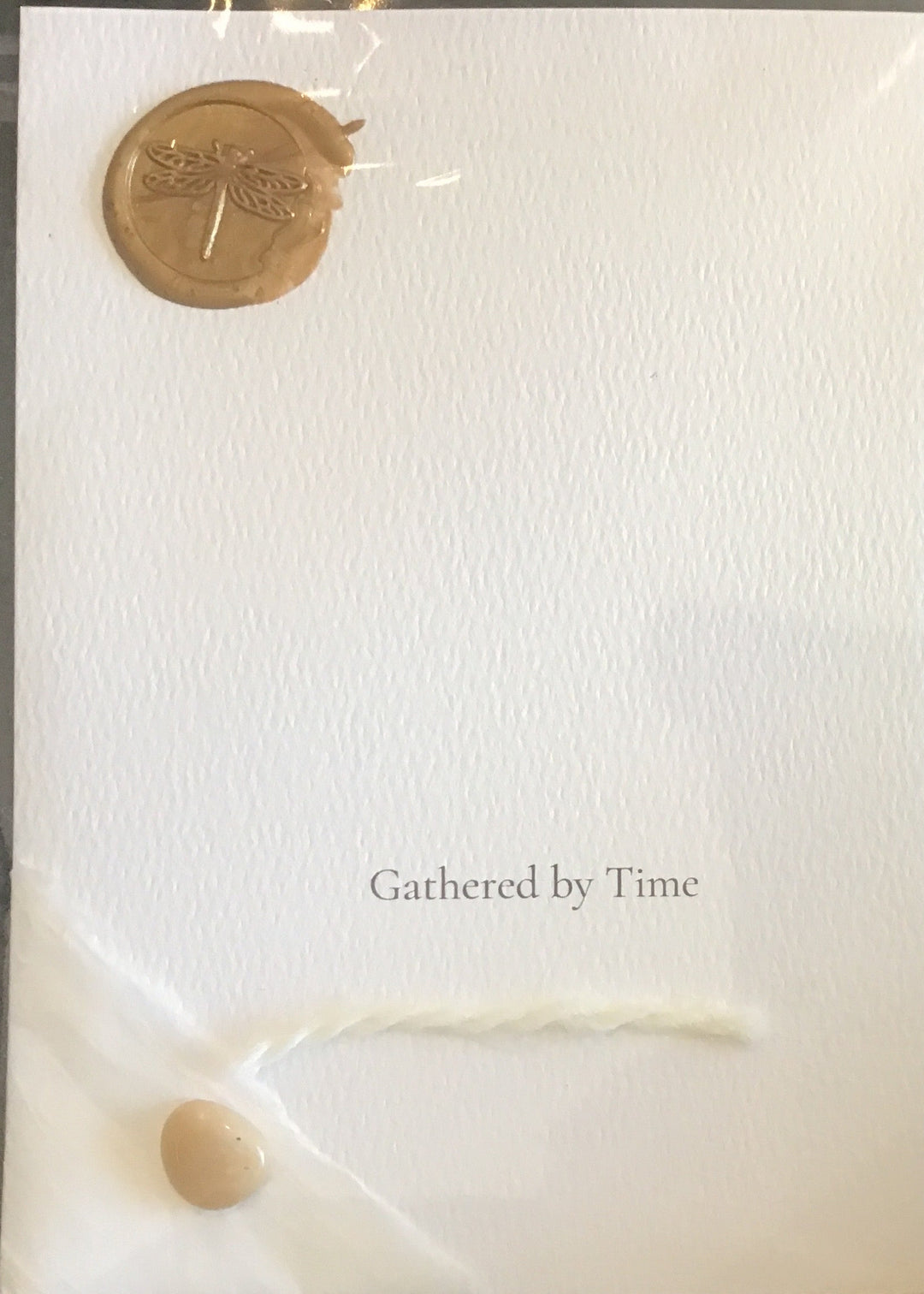 CoziNests Pebble Notes