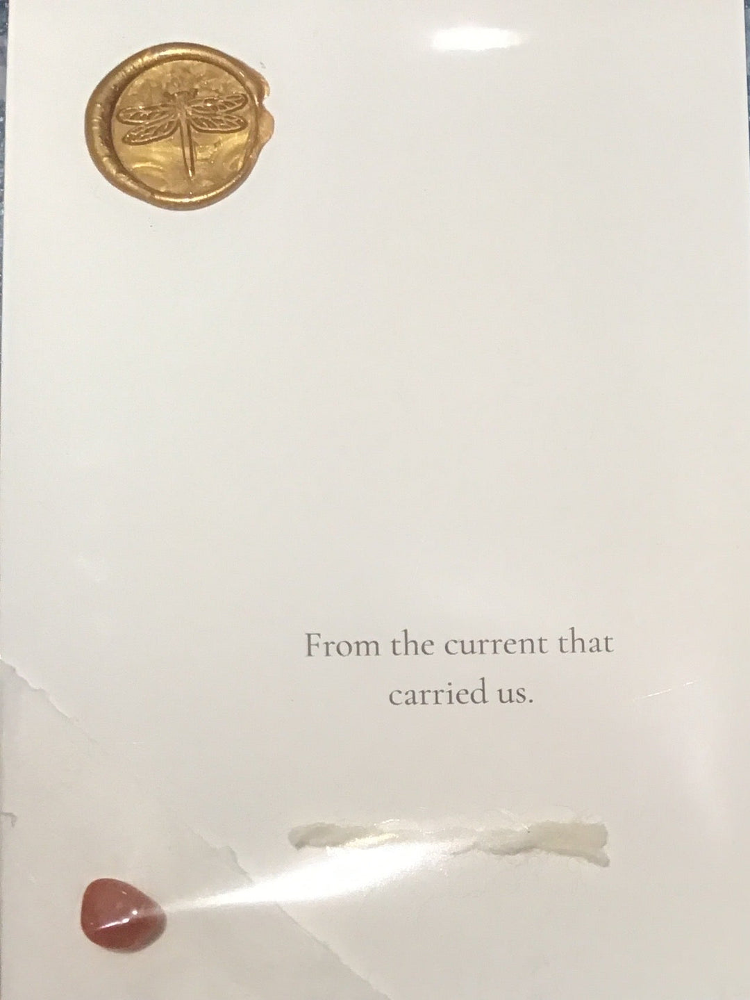 CoziNests Pebble Notes