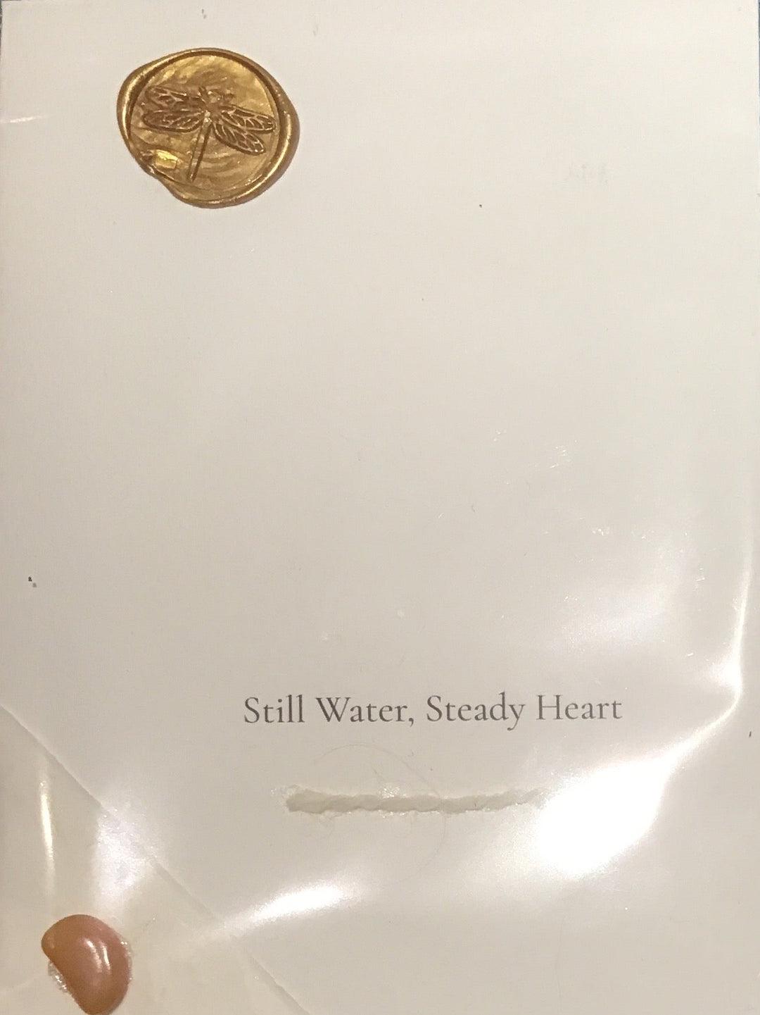 CoziNests Pebble Notes