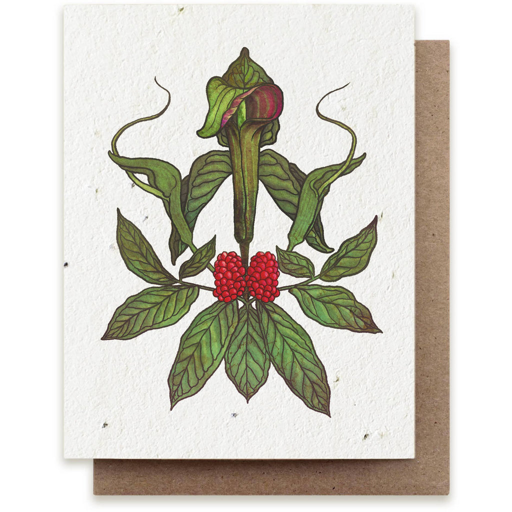 Jack-in-the-Pulpit & Green Dragon Plantable Herb Seed Card