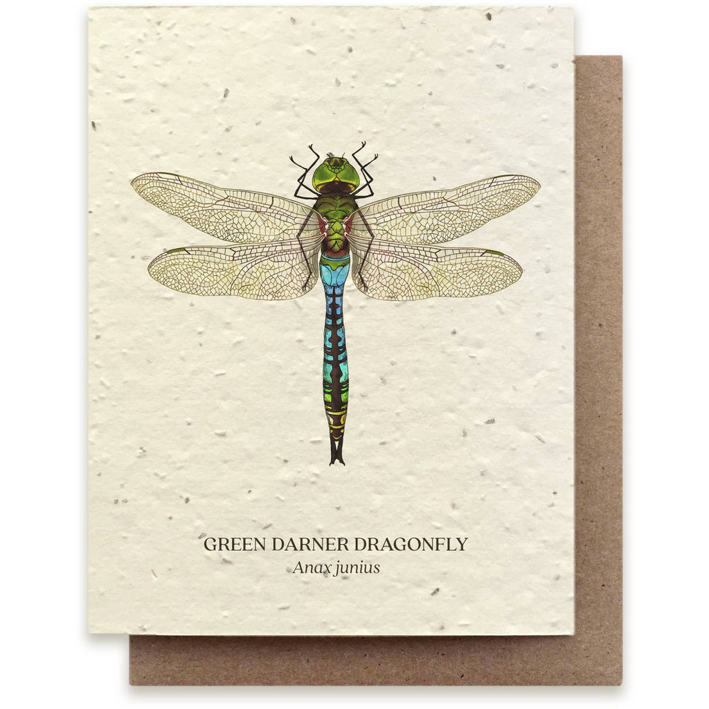 Green Darner Dragonfly Plantable Wildflower Seed Card